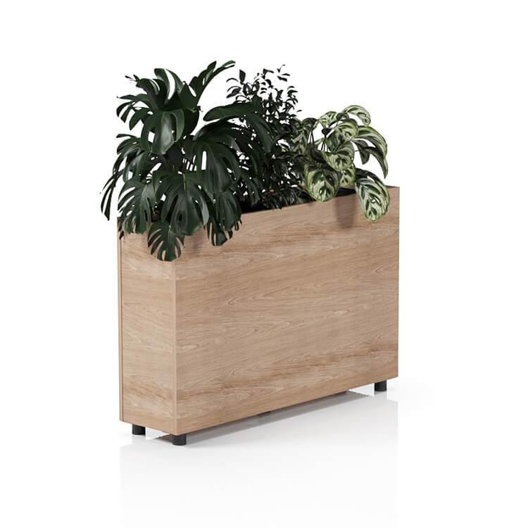 Planta 1200
