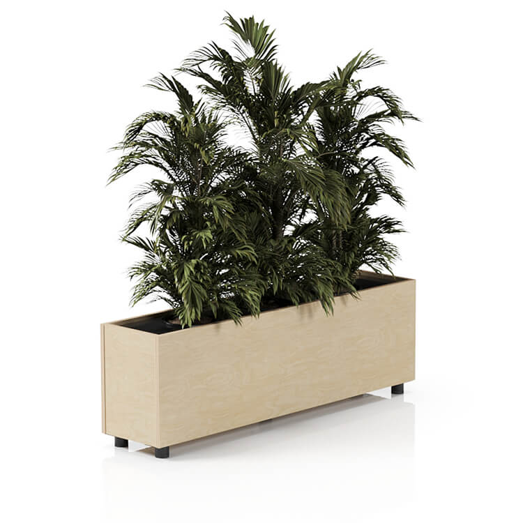 Planta 1370