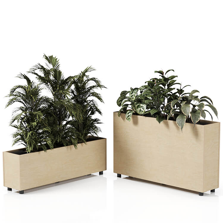 Planta 1370