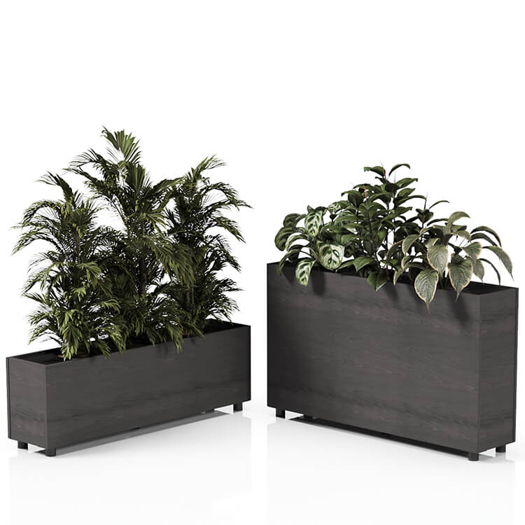 Planta 1370