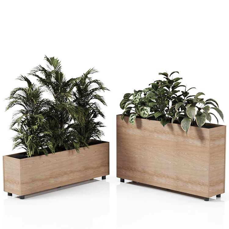 Planta 1370