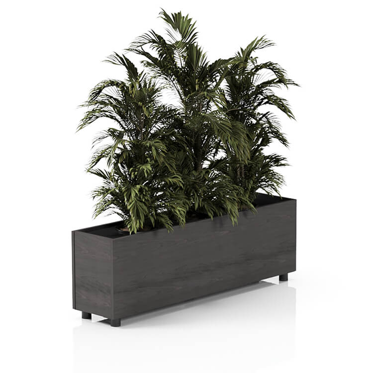 Planta 1370