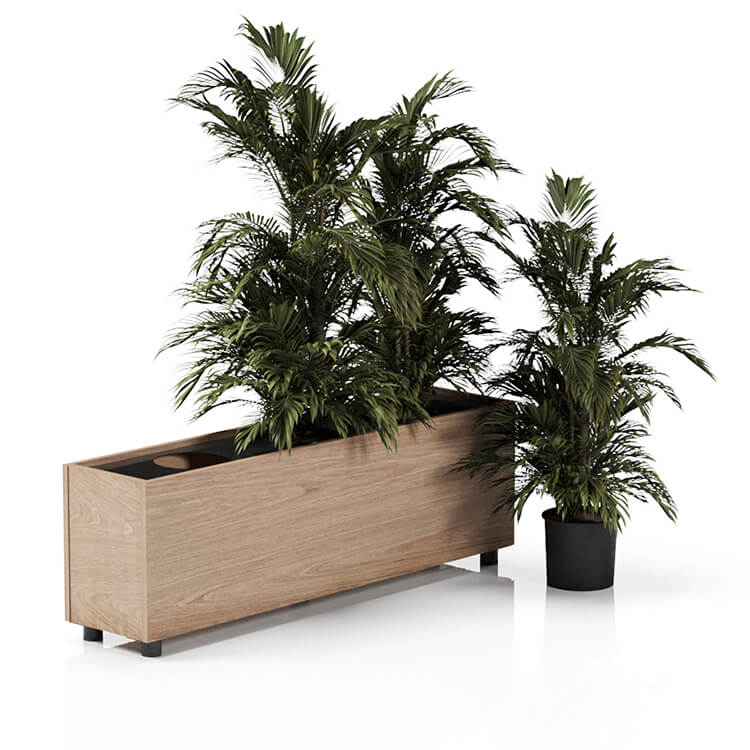 Planta 1370