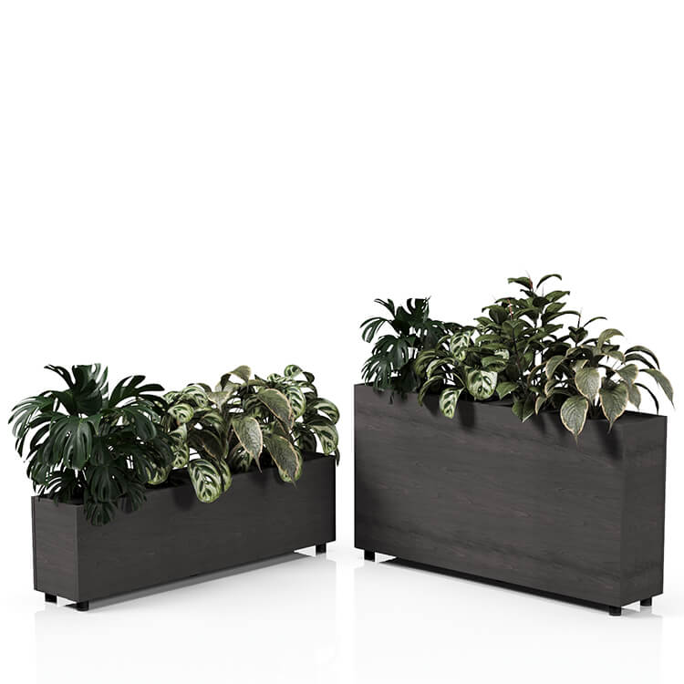 Planta 1500
