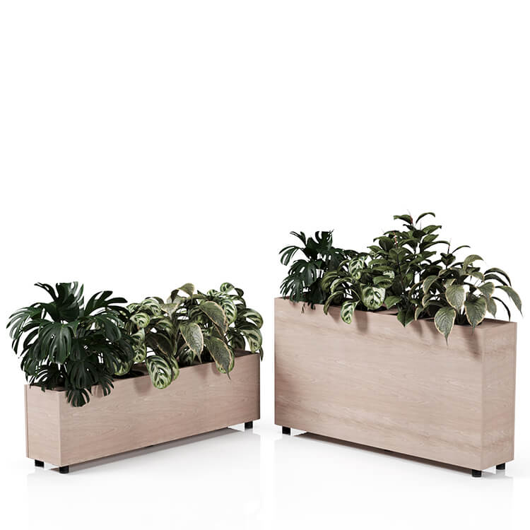 Planta 1500