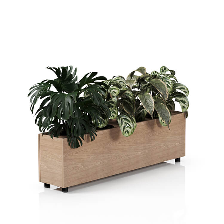Planta 1500