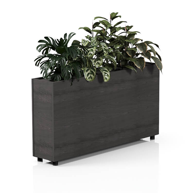 Planta 1500
