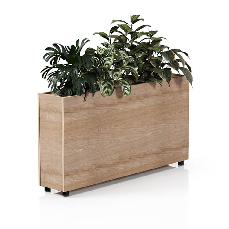 Planta 1500